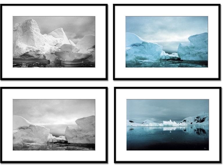 Global Views Art Len Prince Photography-Artic Series 3 of 4 WDSLP4011-GV at Norwood Furniture