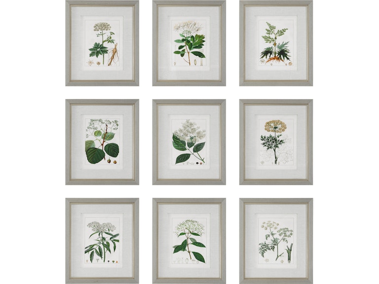 Uttermost Art Antique Botanicals Framed Prints Set/9 41466 at Norwood Furniture