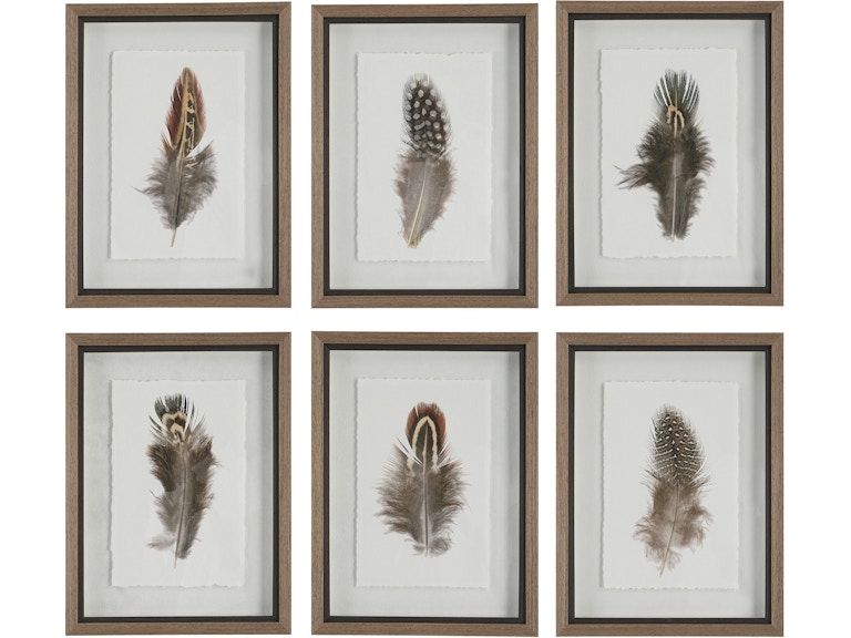 Uttermost Art Birds Of A Feather Framed Prints Set/6 41460 at Norwood Furniture