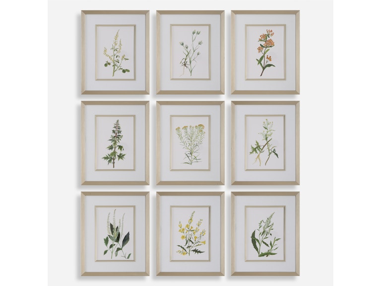Uttermost Art Botanical Flowers Framed Prints Set/9 32339 at Norwood Furniture