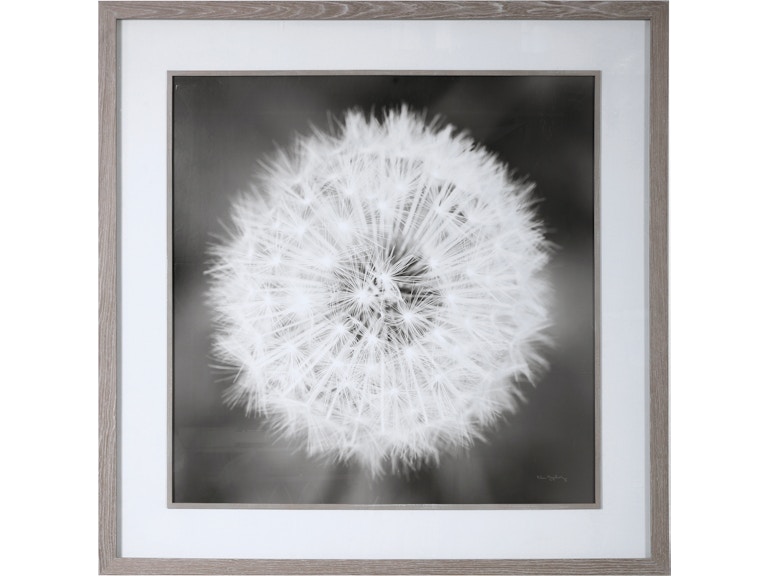 Uttermost Art Dandelion Seedhead Framed Print 33711 at Norwood Furniture