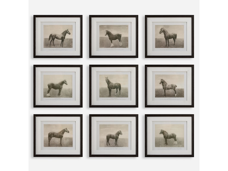Uttermost Art Equine Dynasty Framed Prints Set/9 32343 at Norwood Furniture