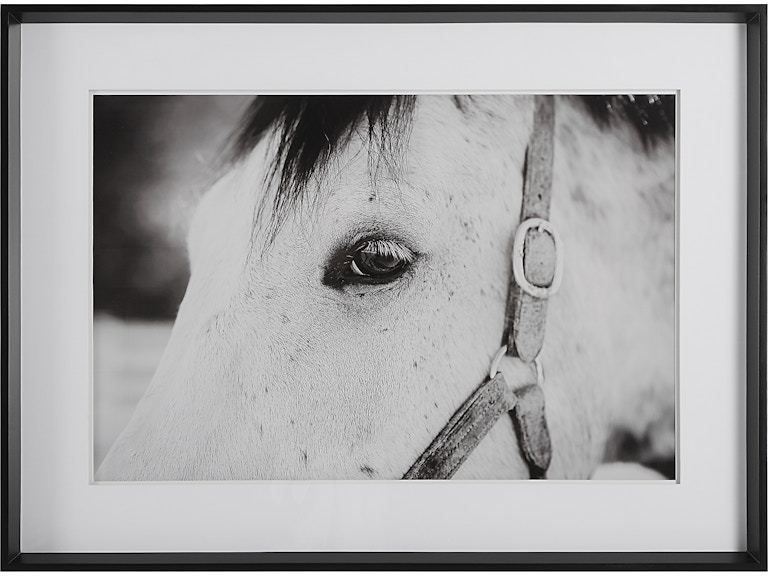Uttermost Art Eye Of The Beholder Framed Print 41463 at Norwood Furniture