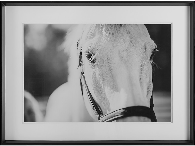 Uttermost Art Eyes On The Prize Framed Print 41464 at Norwood Furniture