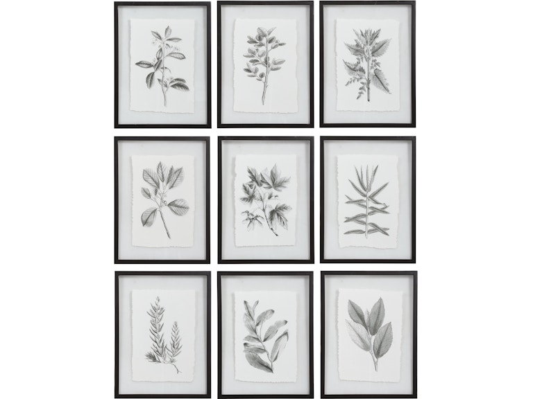 Uttermost Art Farmhouse Florals Framed Prints Set/9 41617 at Norwood Furniture