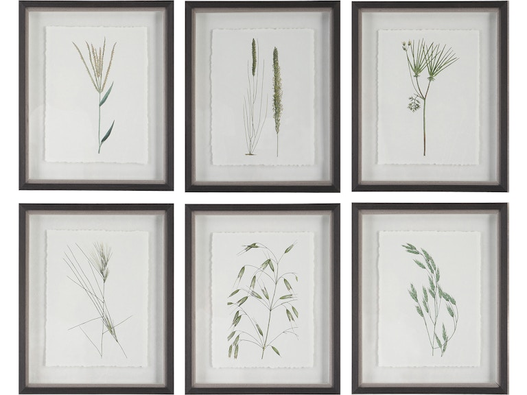 Uttermost Art Forest Finds Framed Prints Set/6 41459 at Norwood Furniture