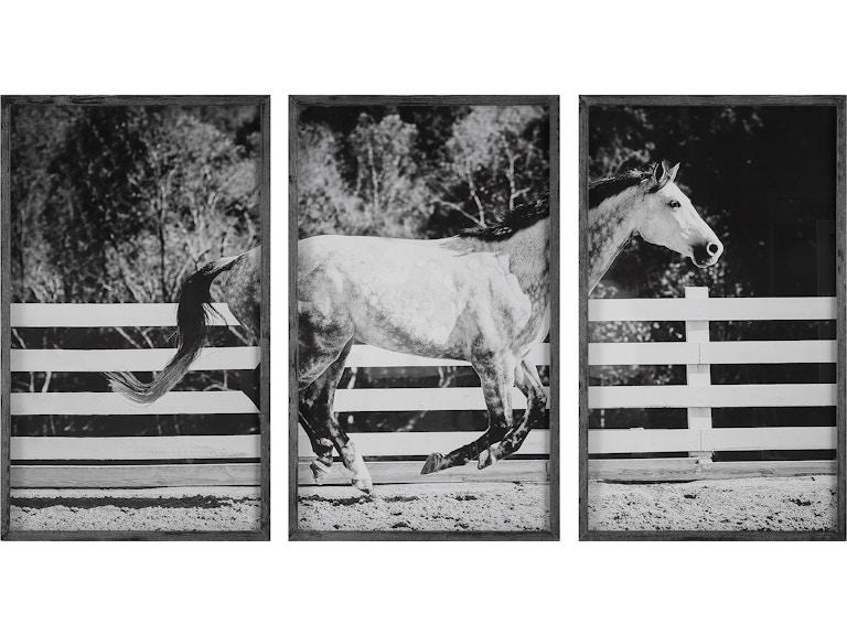 Uttermost Art Galloping Forward Equine Prints Set/3 32279 at Norwood Furniture
