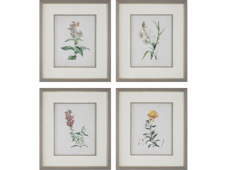 Uttermost Art Heirloom Blooms Study Framed Prints Set/4 32285 at Norwood Furniture
