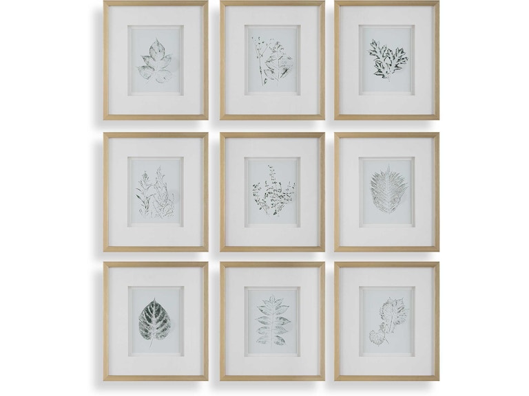 Uttermost Art Nature's Script Framed Botanical Prints Set/9 32449 at Norwood Furniture