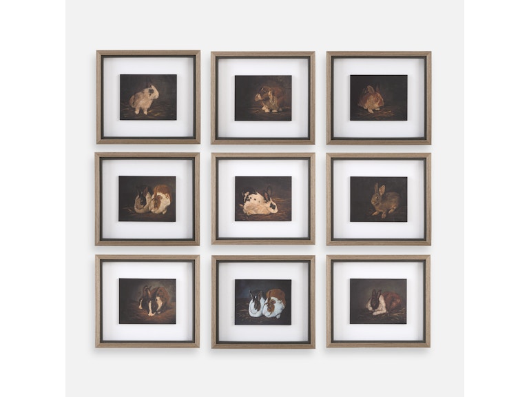 Uttermost Art Resting Bunny Framed Prints Set/9 32386 at Norwood Furniture
