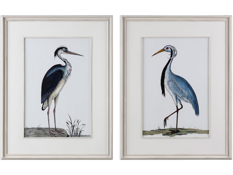 Uttermost Art Shore Birds Framed Prints Set/2 33668 at Norwood Furniture