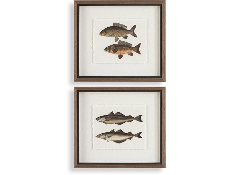 Uttermost Art The Catch Framed Fish Prints Set/2 32448 at Norwood Furniture