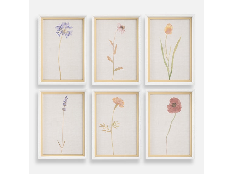 Uttermost Art Wild Flourish Framed Floral Prints Set/6 32384 at Norwood Furniture
