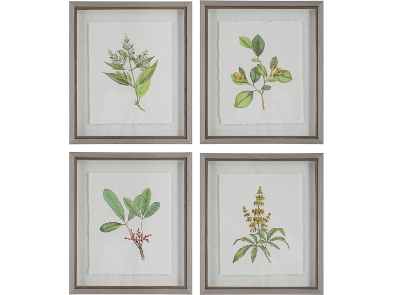 Uttermost Art Wildflower Study Framed Prints Set/4 41461 at Norwood Furniture