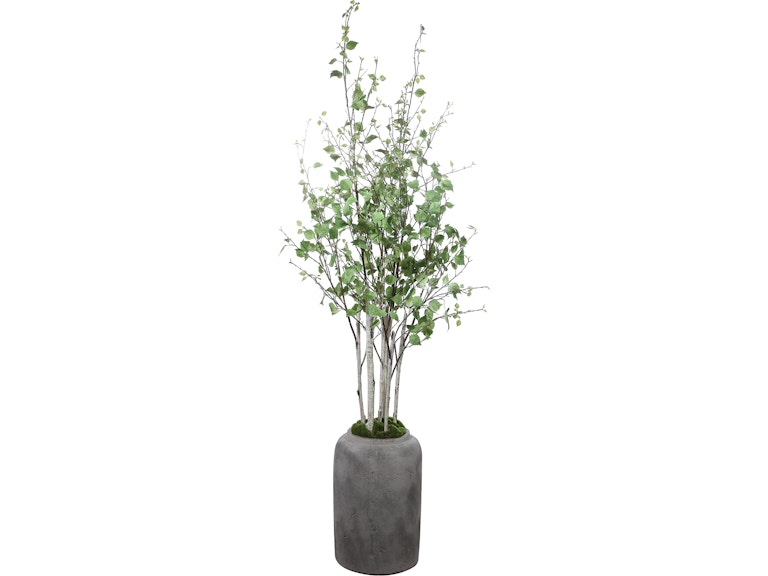 Uttermost Flowers and Plants Aldis Potted River Birch 60146 at Norwood Furniture