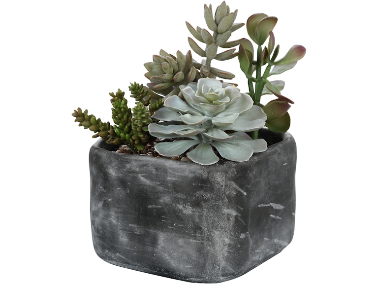 Uttermost Flowers and Plants Alverio Desert Garden Succulents 60173 at Norwood Furniture