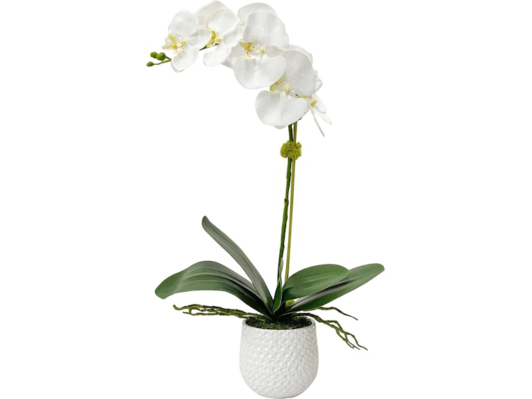 Uttermost Flowers and Plants Cami White Orchid 60178 at Norwood Furniture