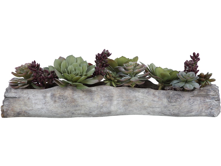 Uttermost Flowers and Plants Charita Lush Succulents 60174 at Norwood Furniture