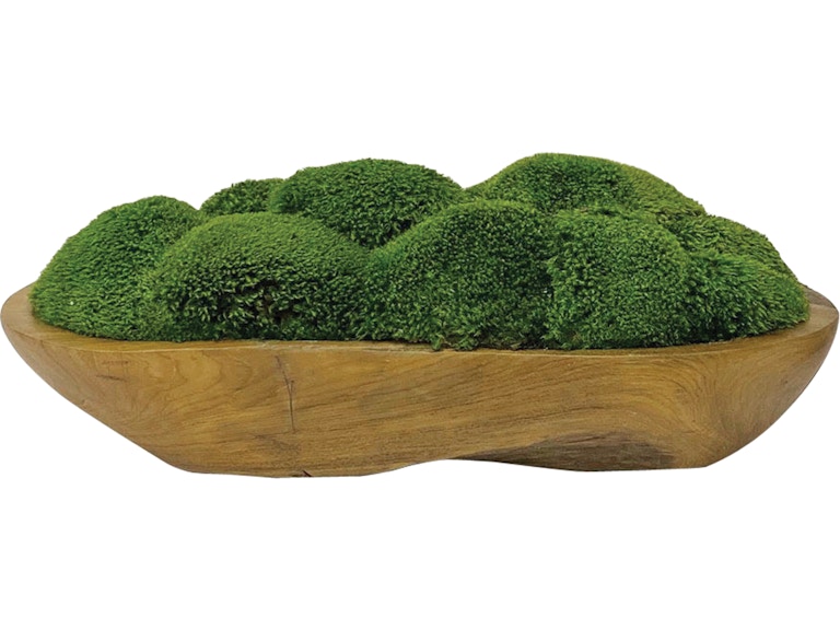 Uttermost Flowers and Plants Kinsale Moss Centerpiece 60180 at Norwood Furniture