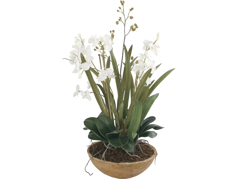 Uttermost Flowers and Plants Moth Orchid Planter 60039 at Norwood Furniture Uttermost Flowers and Plants Moth Orchid Planter 60039 at Norwood Furniture