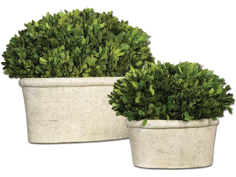 Uttermost Flowers and Plants Oval Domes Preserved Boxwood Set/2 60107 at Norwood Furniture