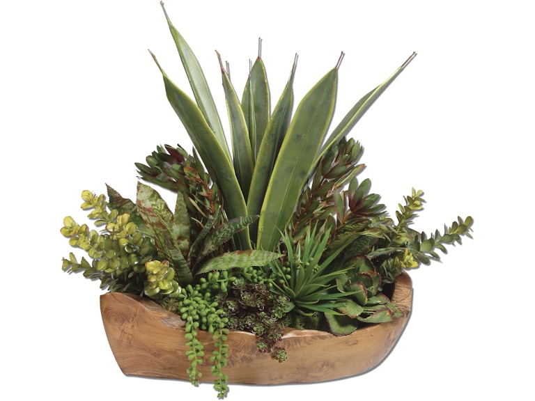 Uttermost Flowers and Plants Salar Succulents In Teak Bowl 60119 at Norwood Furniture